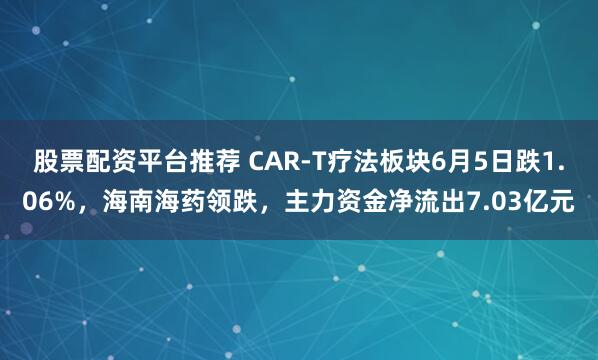 股票配资平台推荐 CAR-T疗法板块6月5日跌1.06%，海南海药领跌，主力资金净流出7.03亿元