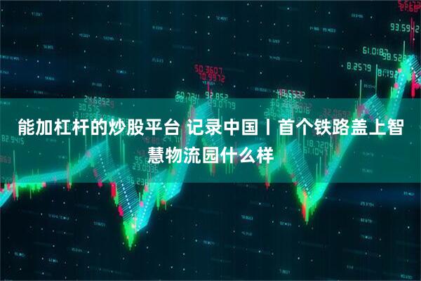 能加杠杆的炒股平台 记录中国丨首个铁路盖上智慧物流园什么样